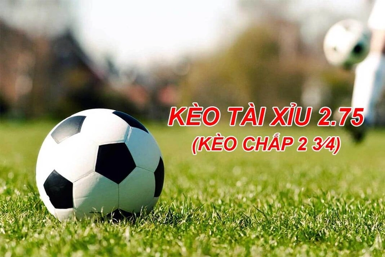 Kinh Nghiệm Chơi Kèo 2.75 Từ Các Chuyên Gia Để Tối Ưu Lợi Nhuận